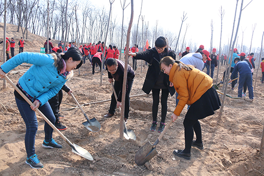公司團(tuán)員青年揮動鐵锨義務(wù)植樹