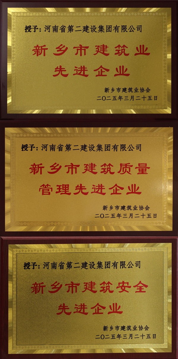 集團(tuán)公司獎(jiǎng)牌拼圖.jpg
