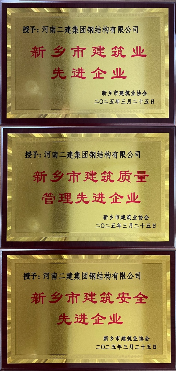 鋼結(jié)構(gòu)公司獎(jiǎng)牌拼圖.jpg